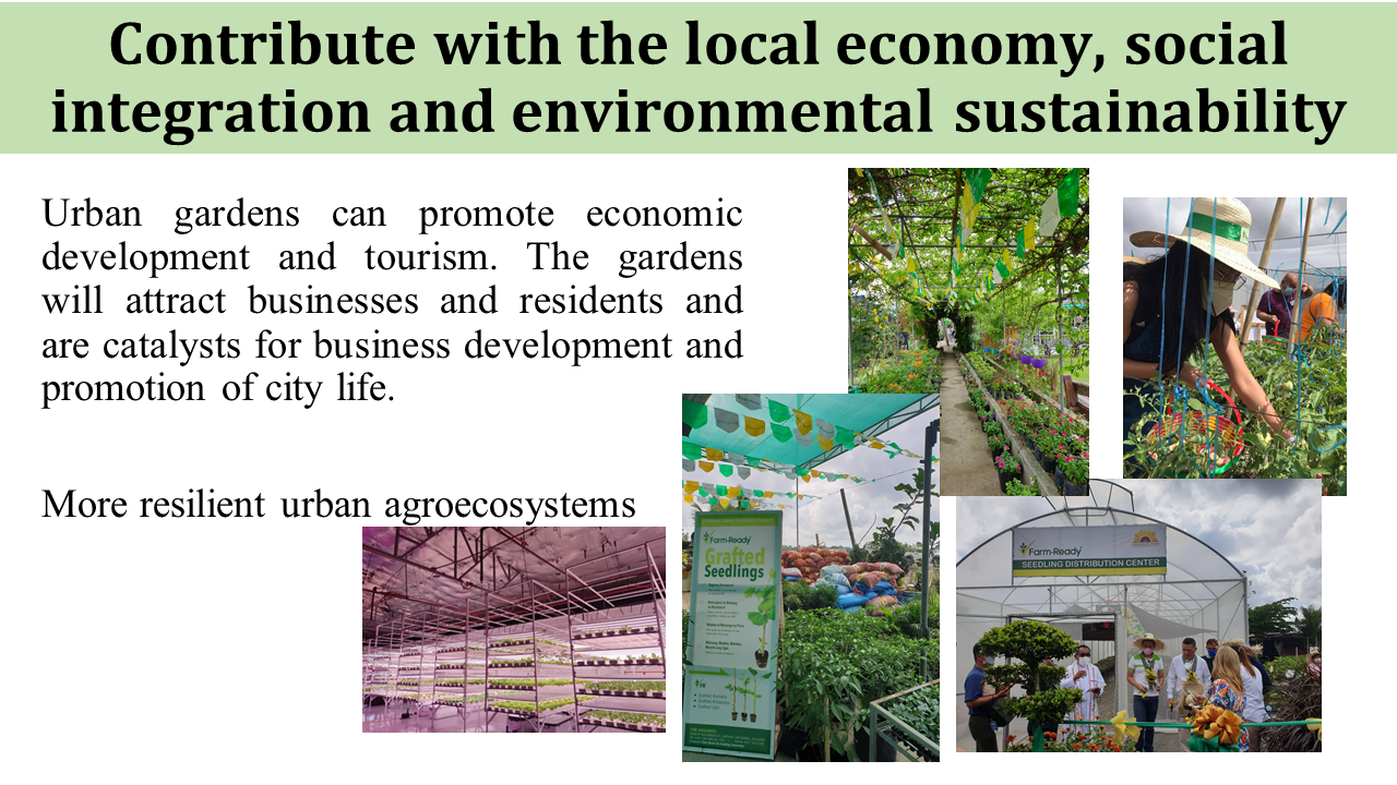 Urban Agriculture - High Value Crops Development Program | Department ...